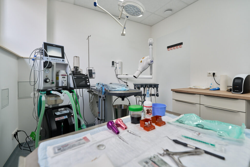 Startseite – Fotograf Magdeburg 27 Tierarztpraxis_Anne-Haase_17-04-26_3155_HDR_web2048